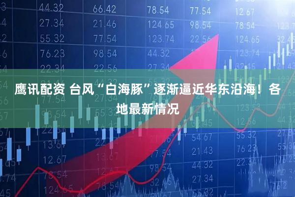 鹰讯配资 台风“白海豚”逐渐逼近华东沿海！各地最新情况
