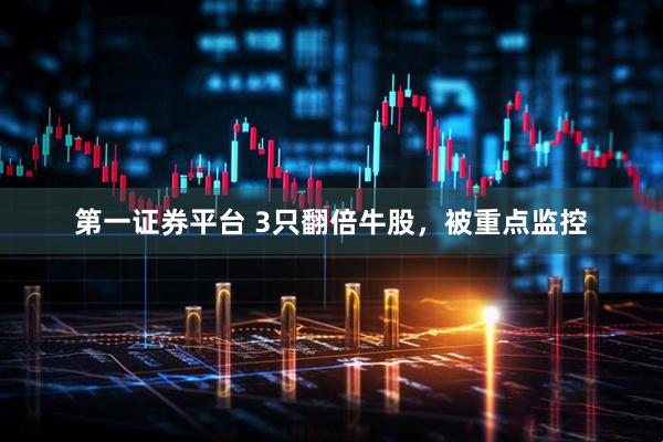 第一证券平台 3只翻倍牛股，被重点监控