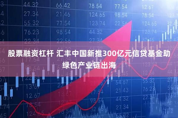 股票融资杠杆 汇丰中国新推300亿元信贷基金助绿色产业链出海
