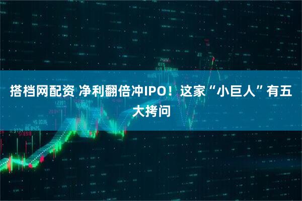 搭档网配资 净利翻倍冲IPO！这家“小巨人”有五大拷问